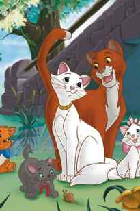 Аристомысықтар